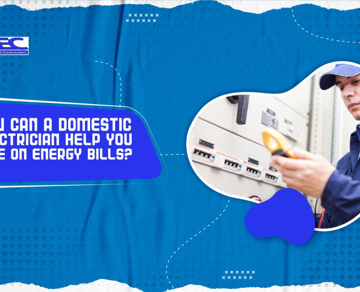 Domestic Electrician