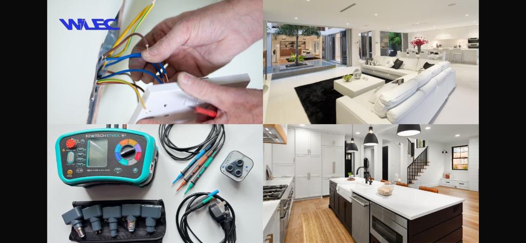 PICTURE DOMESTIC PICTURE DOMESTIC